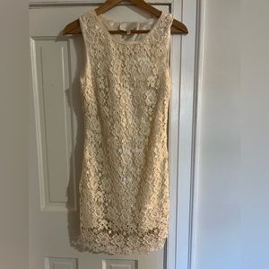 Lush Lacy Lined Elegant Cocktail Dress.Side zipper.Great Fit! Size M